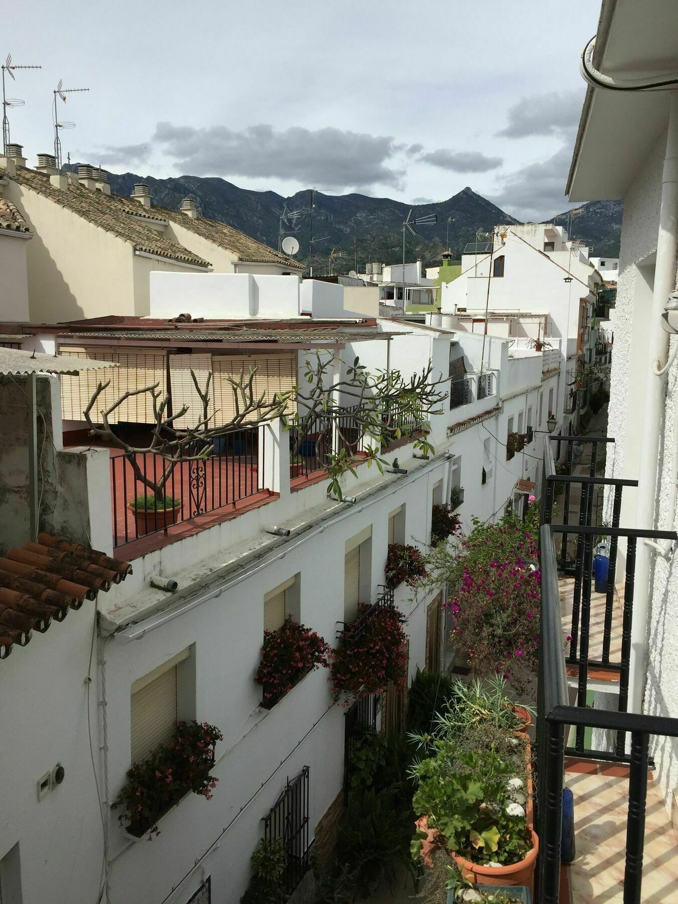 Pensión La Pilarica *