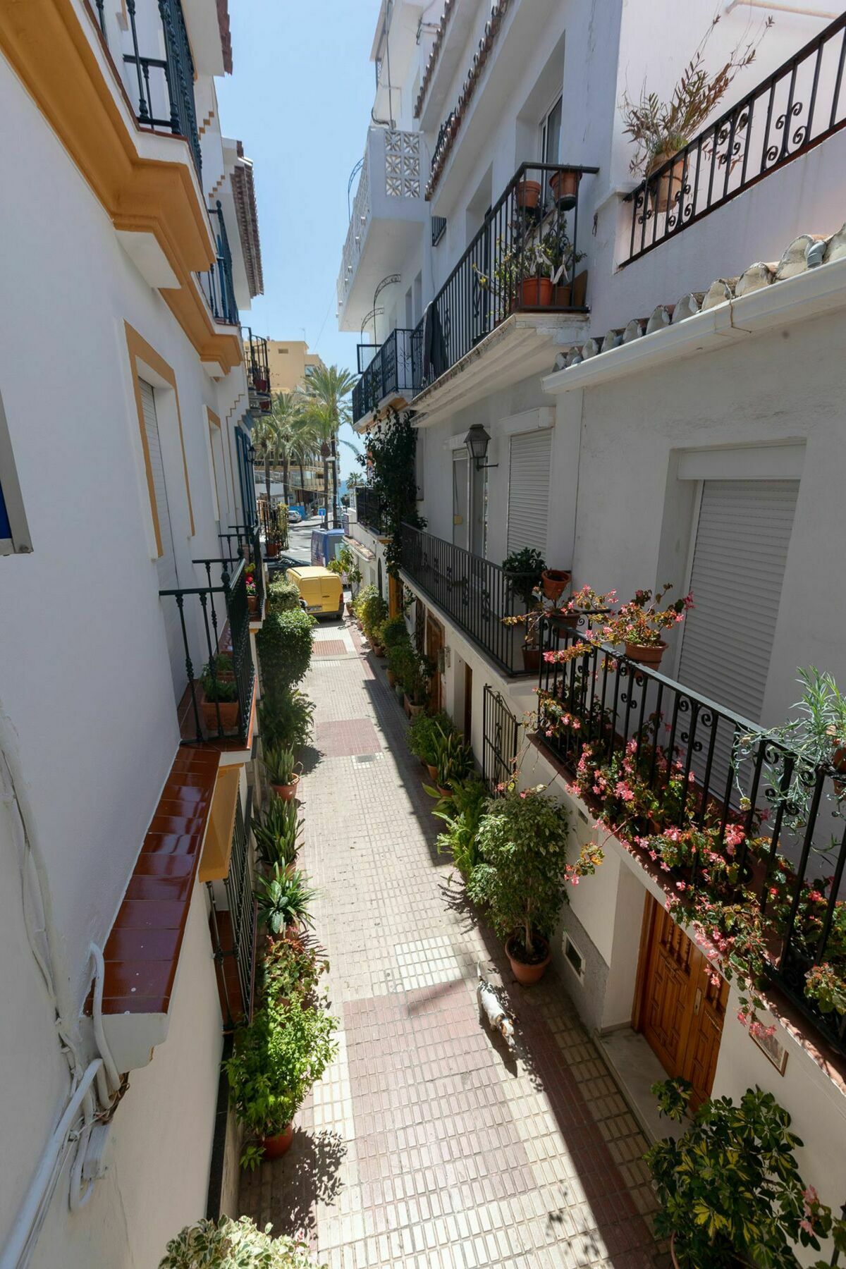 La Pilarica * Marbella